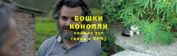 амф Белокуриха