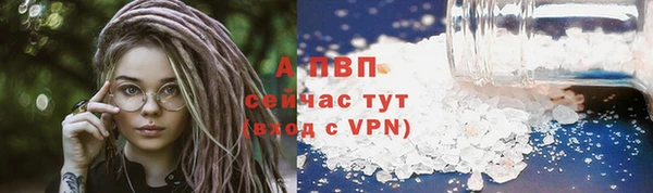амф Белокуриха