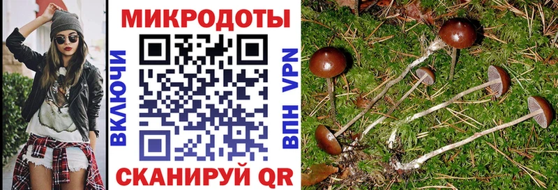 Галлюциногенные грибы Cubensis  Тихвин 