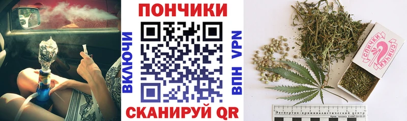 как найти наркотики  Тихвин  Каннабис White Widow 